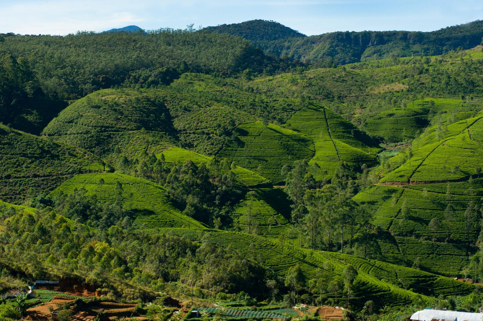 Sri Lanka Hill Country Tour – 3 Days