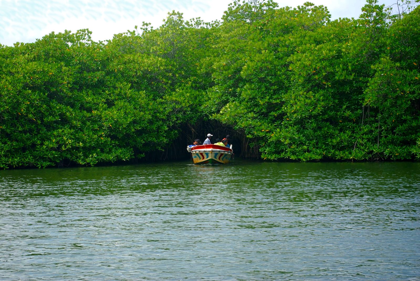 River Safari, Balapitiya
