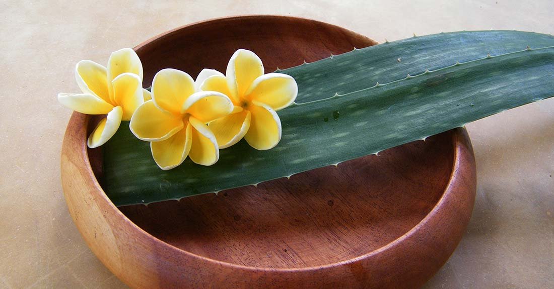 Unique Ayurvedic Tours